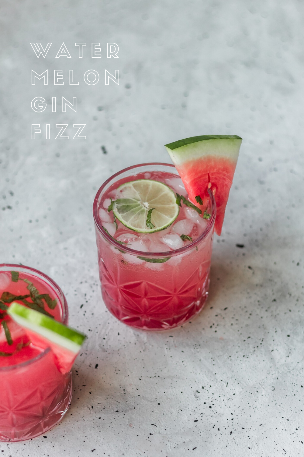 Watermelon Gin Fizz with Mint | Serendipity by Sara Lynn